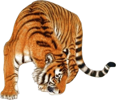 dd574b6c.gif
